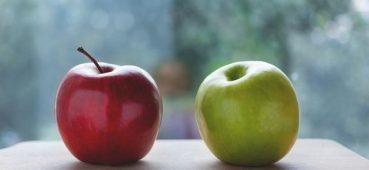 Photo of two apples - one red and one green.